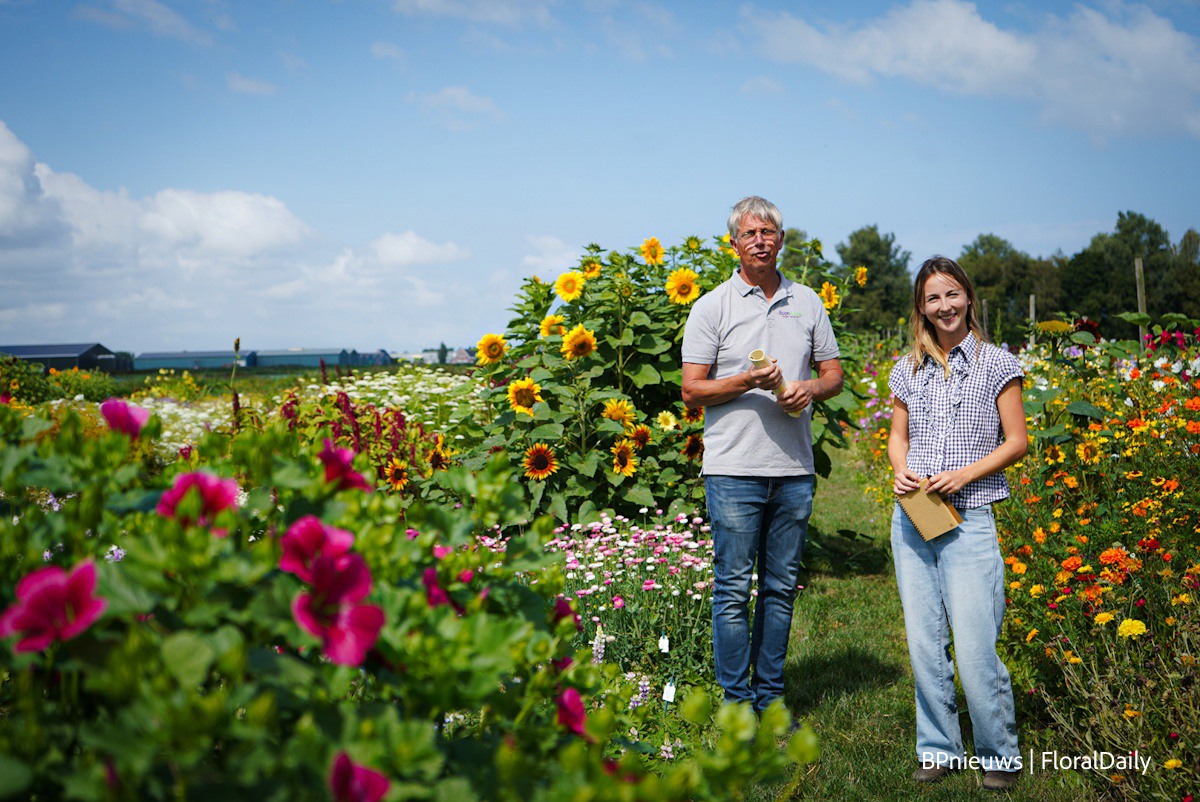 Delphinium, dried flowers, and our own “Spitsbergen.”